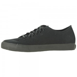 Supra Thunder Low Men's Low Tops Black | KDB-672153